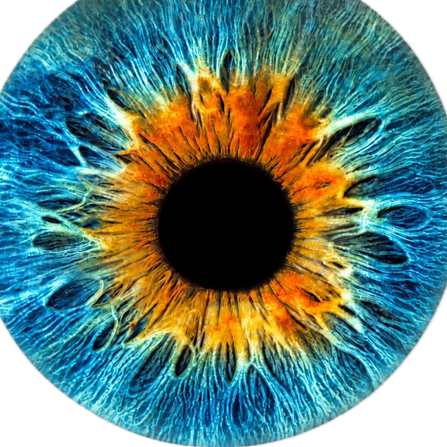 Iris